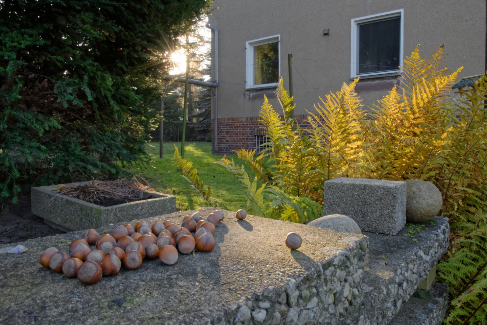 Der Garten von Hans-Diether Herrmann, Leipzig 2016